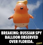 1FA33E87-51B4-49CE-896B-CA4AC22C0491.jpeg