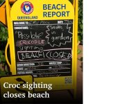beach.jpg