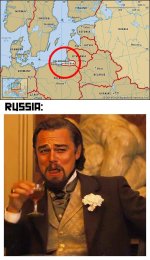5fb0570a1dfed.jpeg