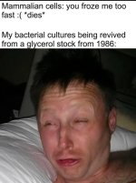 1000005654.jpg