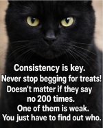 Consistency Is Key.jpg