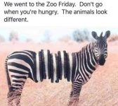 1778022743319.png