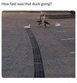 1788537504388.png